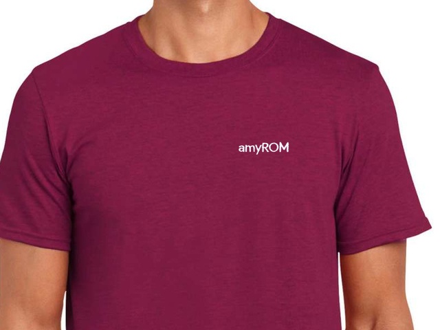 amyROM T-Shirt (berry)